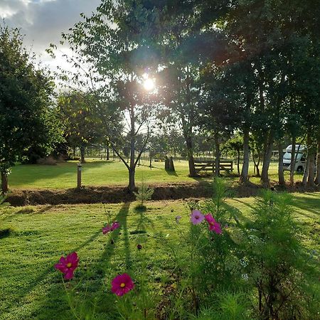 Erfgoed De Boemerang - Chalets Meppen Luaran gambar