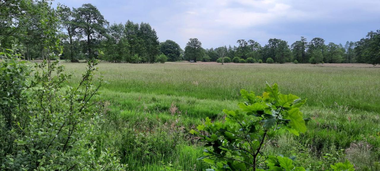 Erfgoed De Boemerang - Chalets Meppen Luaran gambar