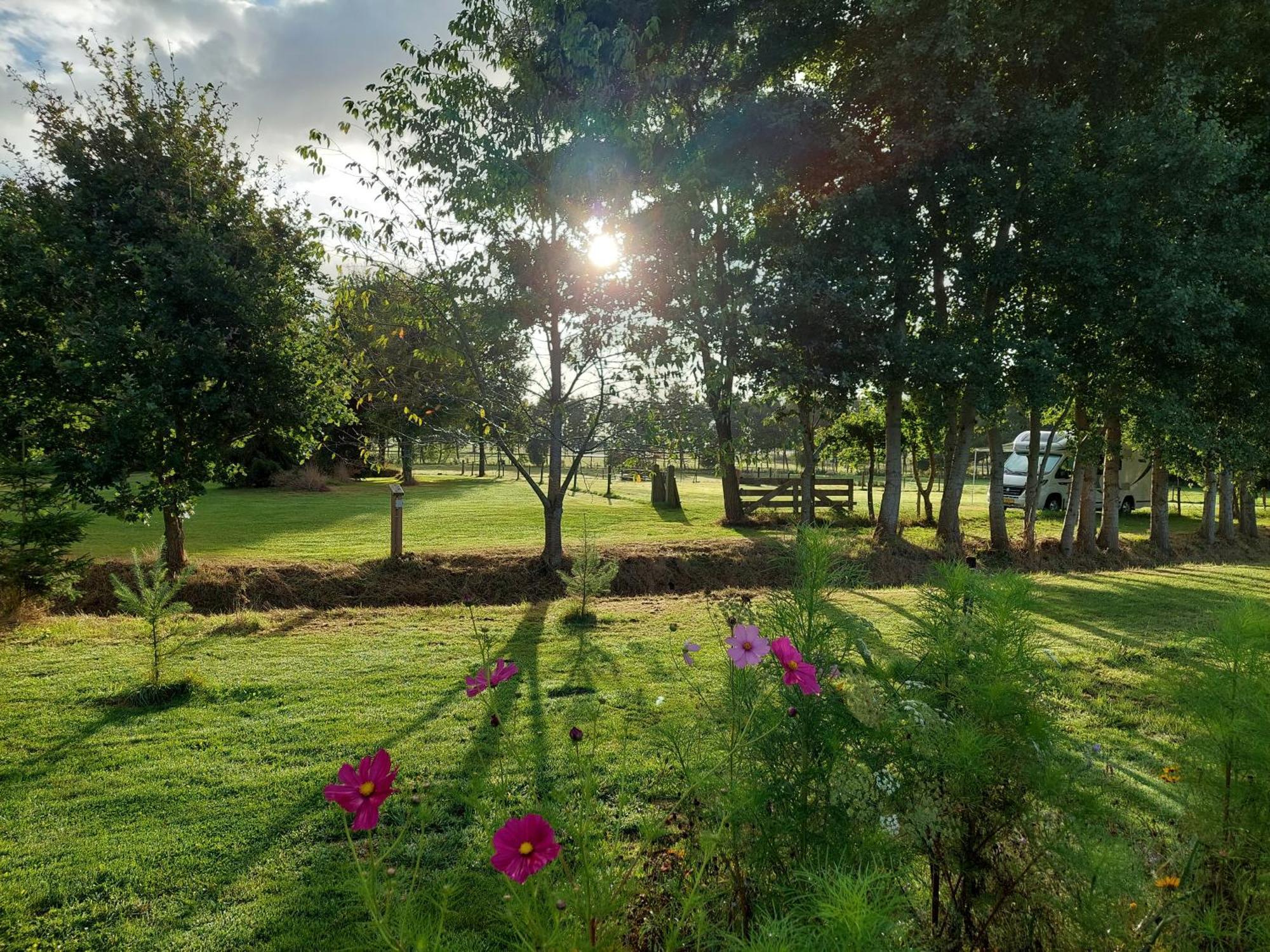 Erfgoed De Boemerang - Chalets Meppen Luaran gambar